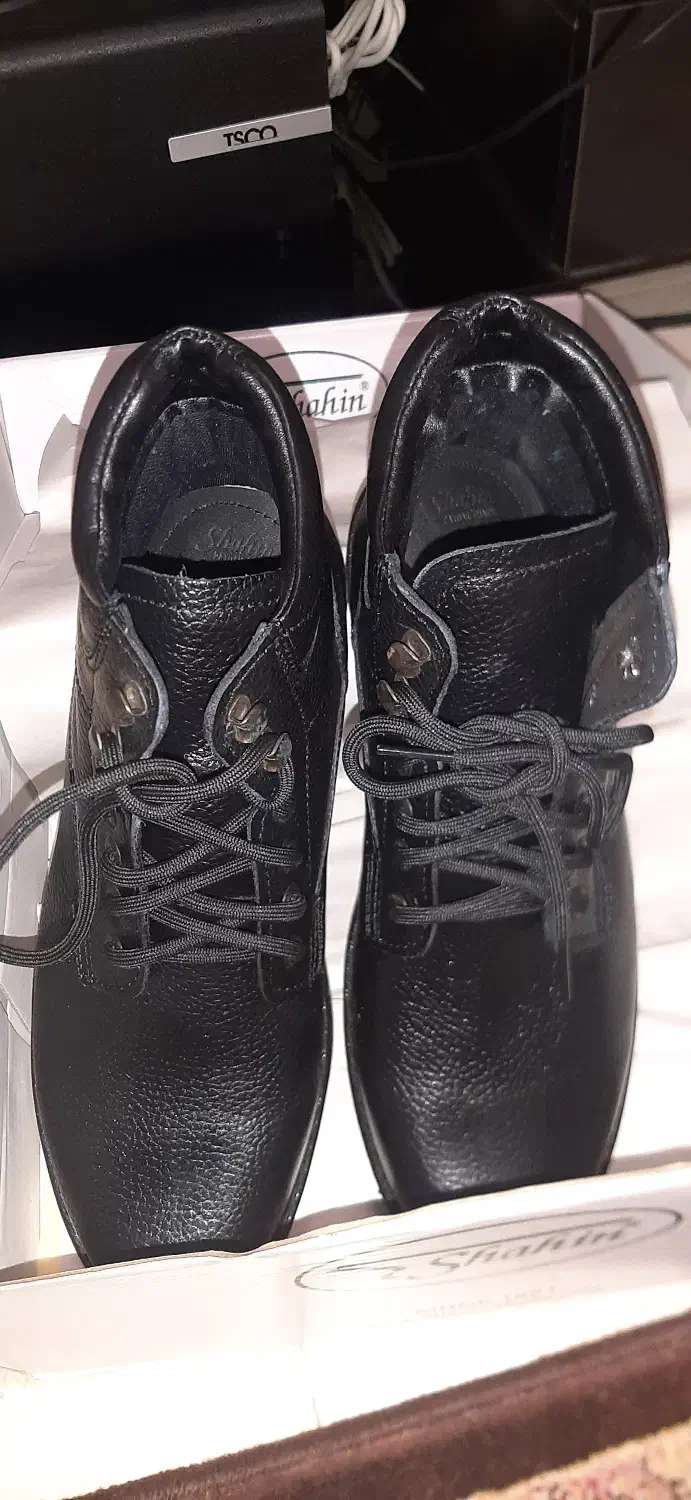 پوتین نیم بوت شاهین|کیف، کفش، کمربند|رشت, کوی غلام نیا|دیوار