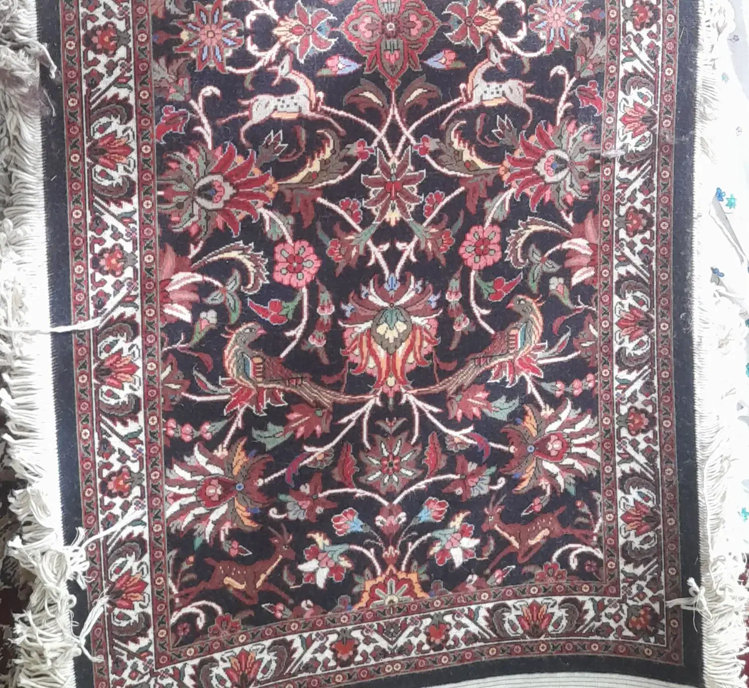 فروش فرش|فرش|تکاب, |دیوار