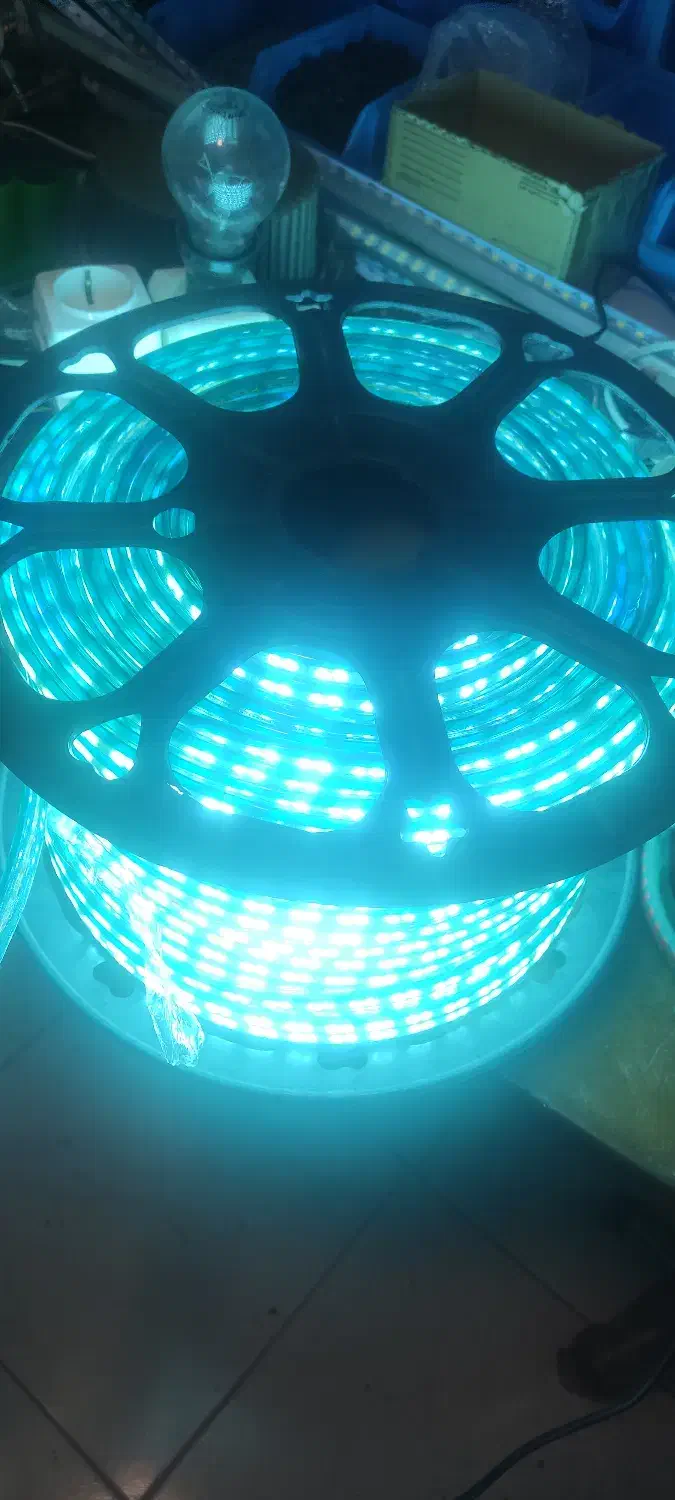 ریسه شیلنگی آبی|ریسه و چراغ تزئینی|شاهین‌شهر, سعدی جنوبی|دیوار