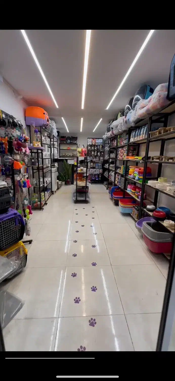 پت شاپ پاپت|لوازم جانبی حیوانات|مشهد, نیروی هوایی|دیوار