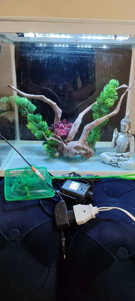 فروش آکواریوم|ماهی|الیگودرز, |دیوار