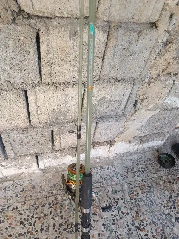 لنسر|ماهیگیری|مسجد سلیمان, |دیوار