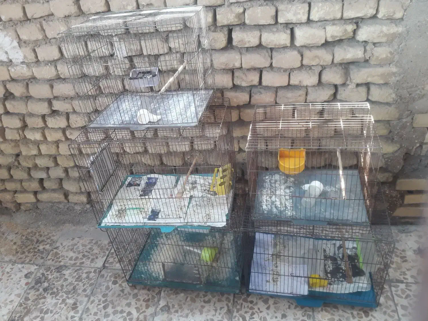 ۵ عدد قفس بزرگ همه باهم|لوازم جانبی حیوانات|اهواز, زرگان|دیوار