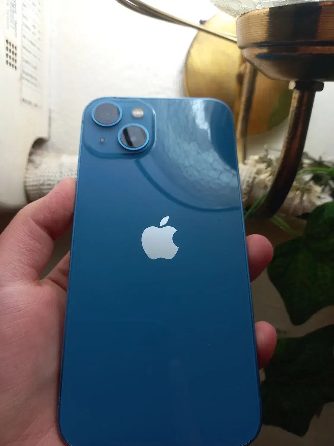 آیفون 13 نرمال|موبایل|تهران, تجریش|دیوار