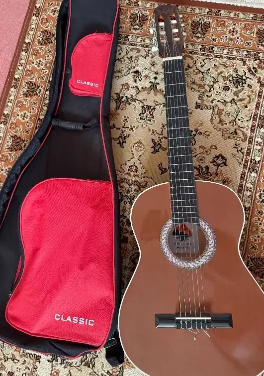 گیتار آنجل سیم حرفه ای|گیتار، بیس، امپلیفایر|میناب, |دیوار