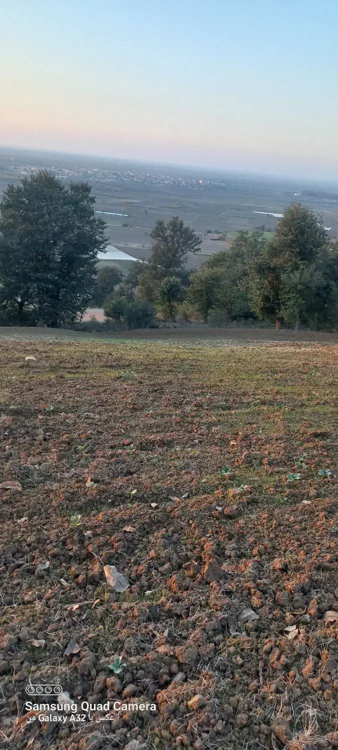زمین کشاورزی دیم در دامنه کوه|فروش زمین و ملک کلنگی|خان ببین, |دیوار