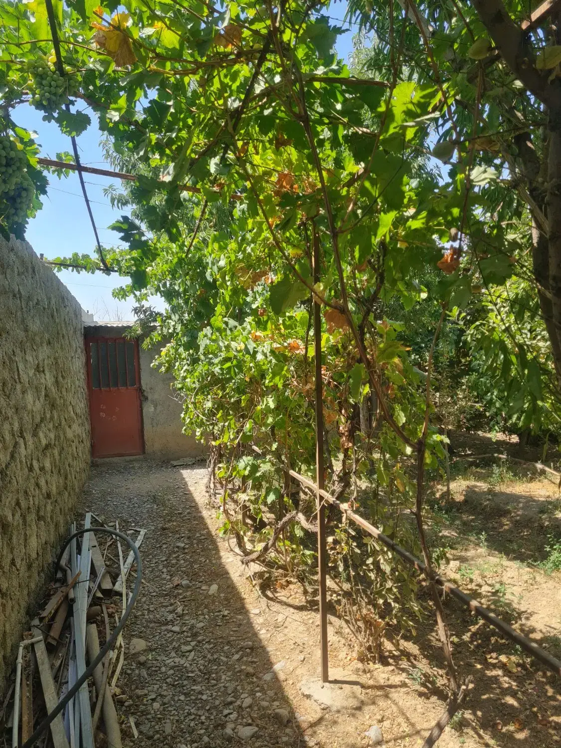 تصویر 9