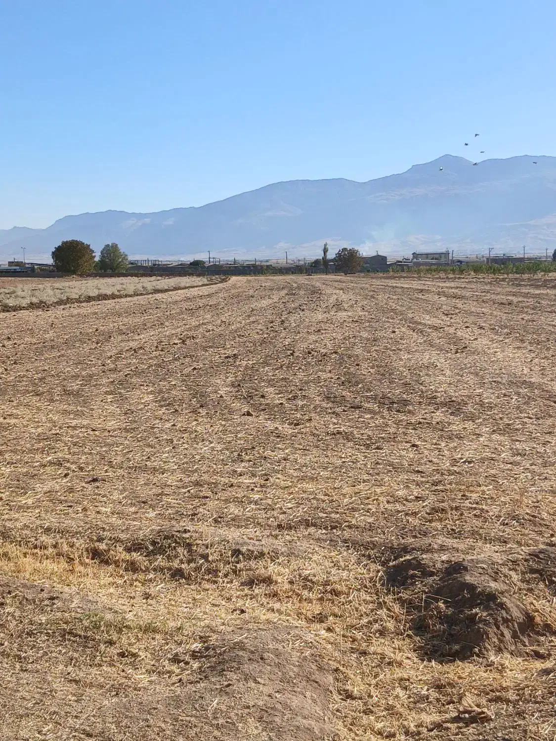 فروش زمین کشاورزی|فروش دفتر صنعتی، کشاورزی، تجاری|شیروان (لرستان), |دیوار