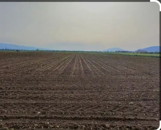 اجاره زمین کشاورزی|اجارهٔ دفتر صنعتی، کشاورزی، تجاری|سرخنکلاته, |دیوار