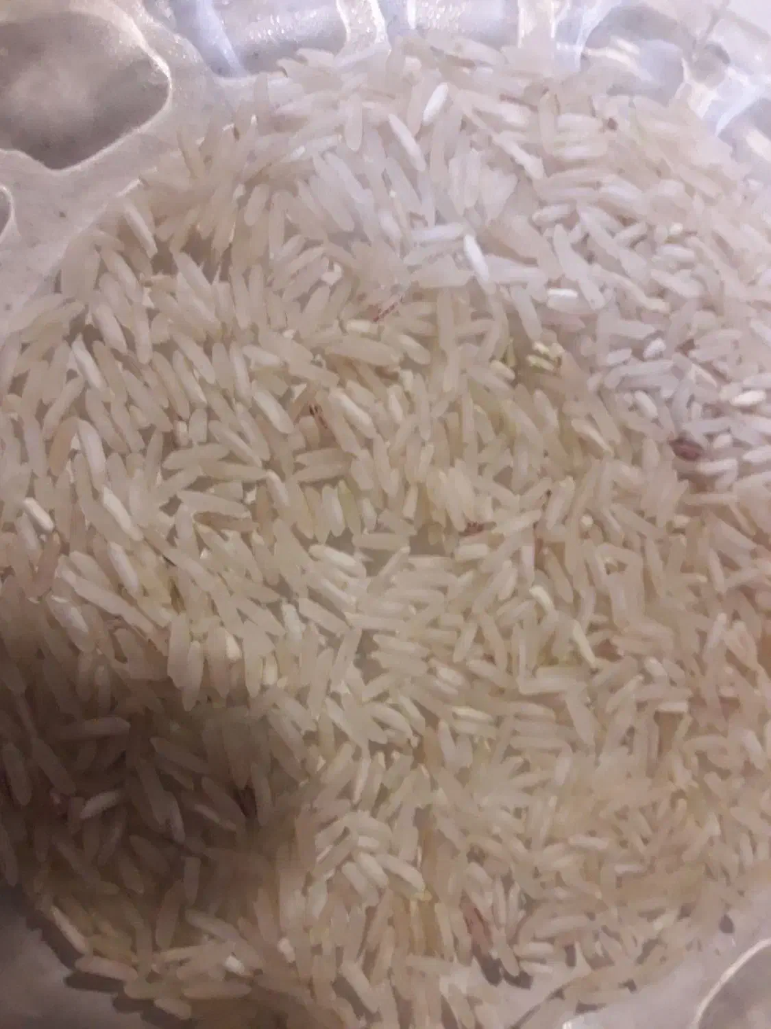 درجه یک|خوردنی و آشامیدنی|کارون, |دیوار