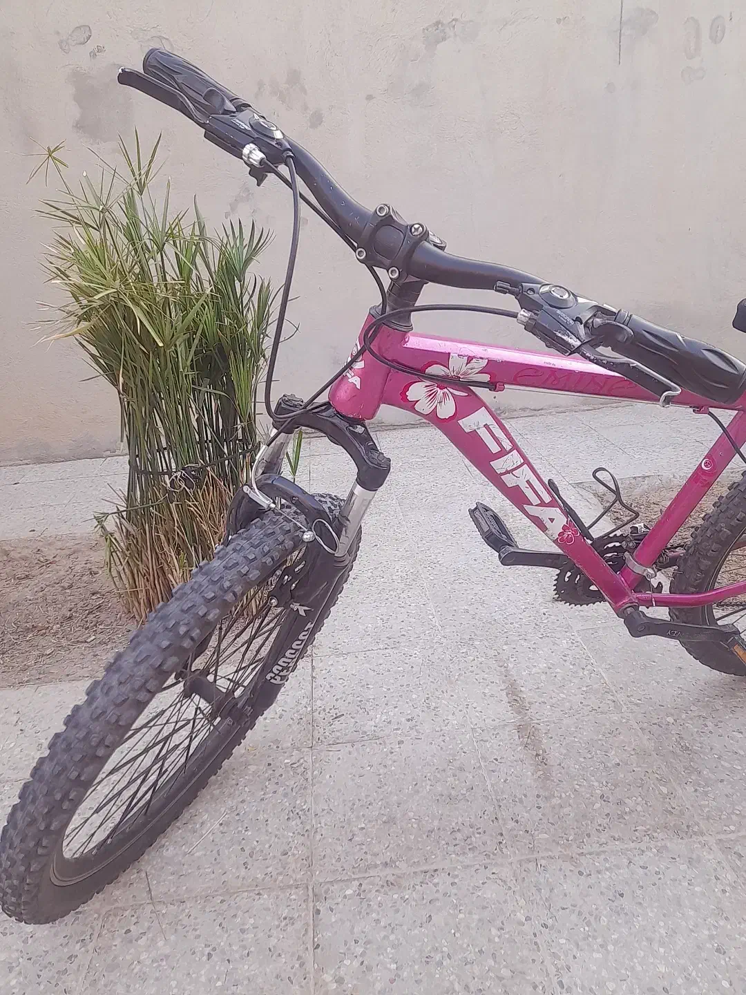 دوچرخه تنه بلند FIFA سایز ۲۶ هفت دنده ای|دوچرخه، اسکیت، اسکوتر|دوگنبدان, |دیوار