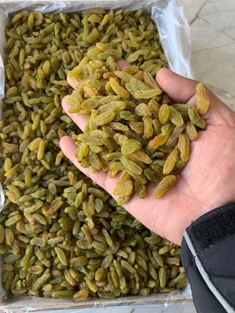 کشمش سبز کاشمر|خوردنی و آشامیدنی|تهران, بوستان چیتگر|دیوار