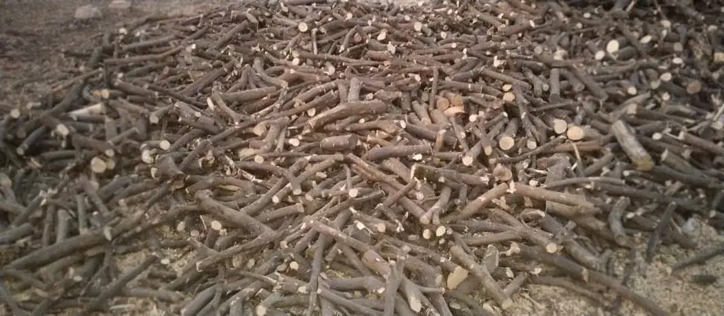 چوب سقفی و انواع چوب باغی|خدمات باغبانی و درختکاری|خفر, |دیوار