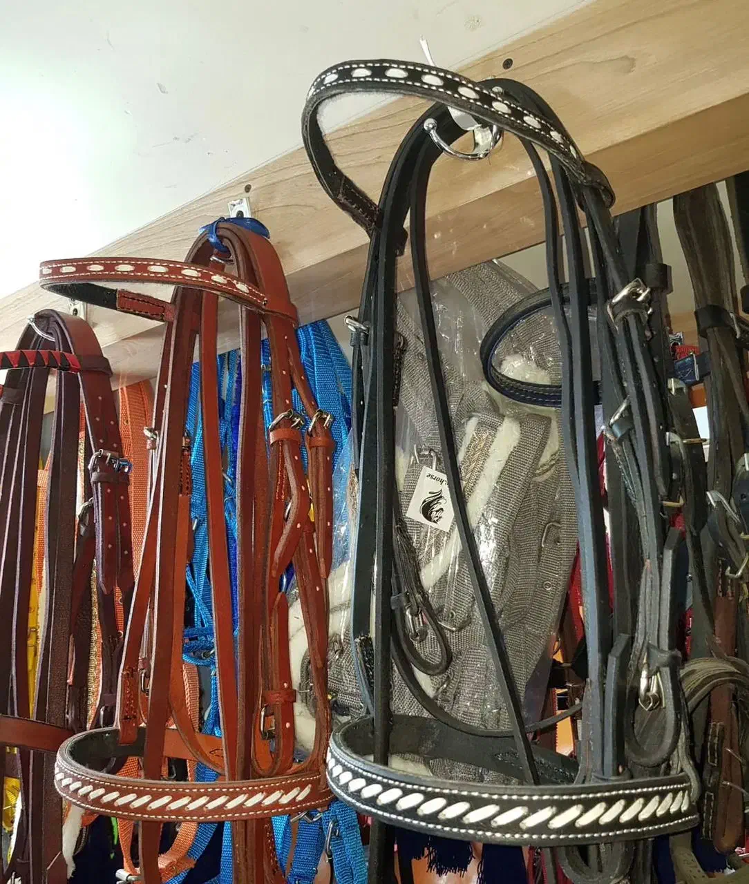 لوازم سوارکاری لوکس|اسب و تجهیزات اسب‌سواری|اندیشه, اندیشه فاز ۱|دیوار