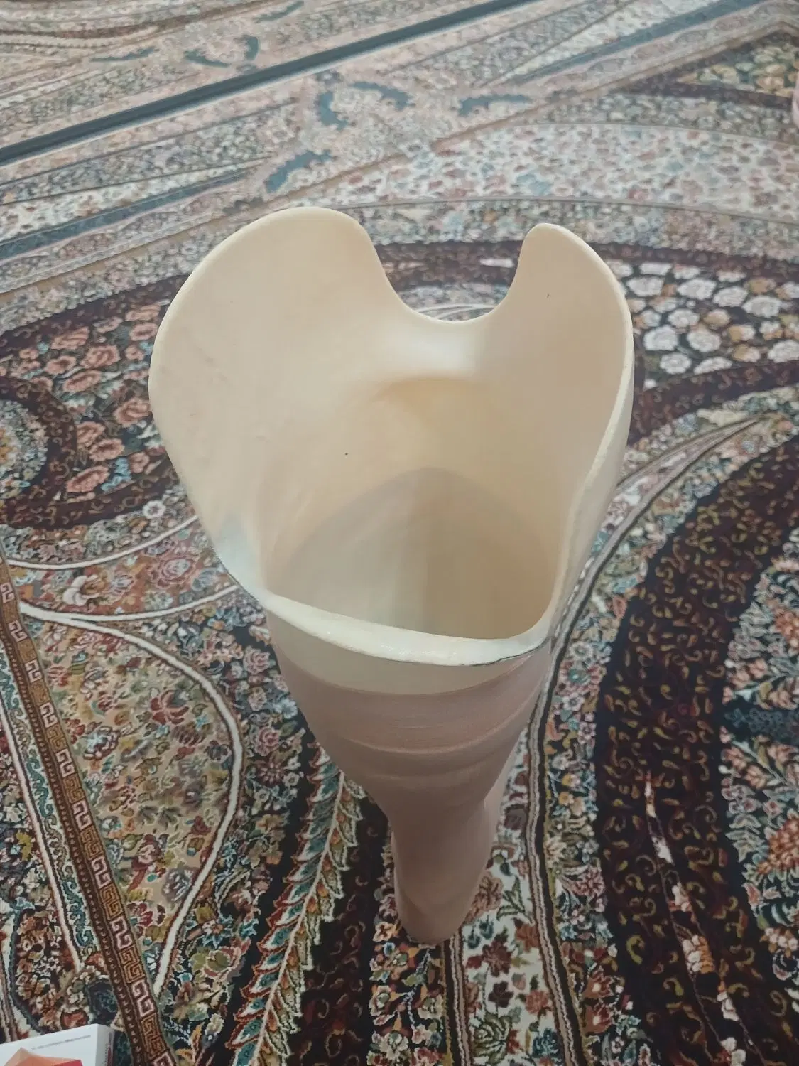 پروتز پا|پزشکی|رشت, یخسازی|دیوار