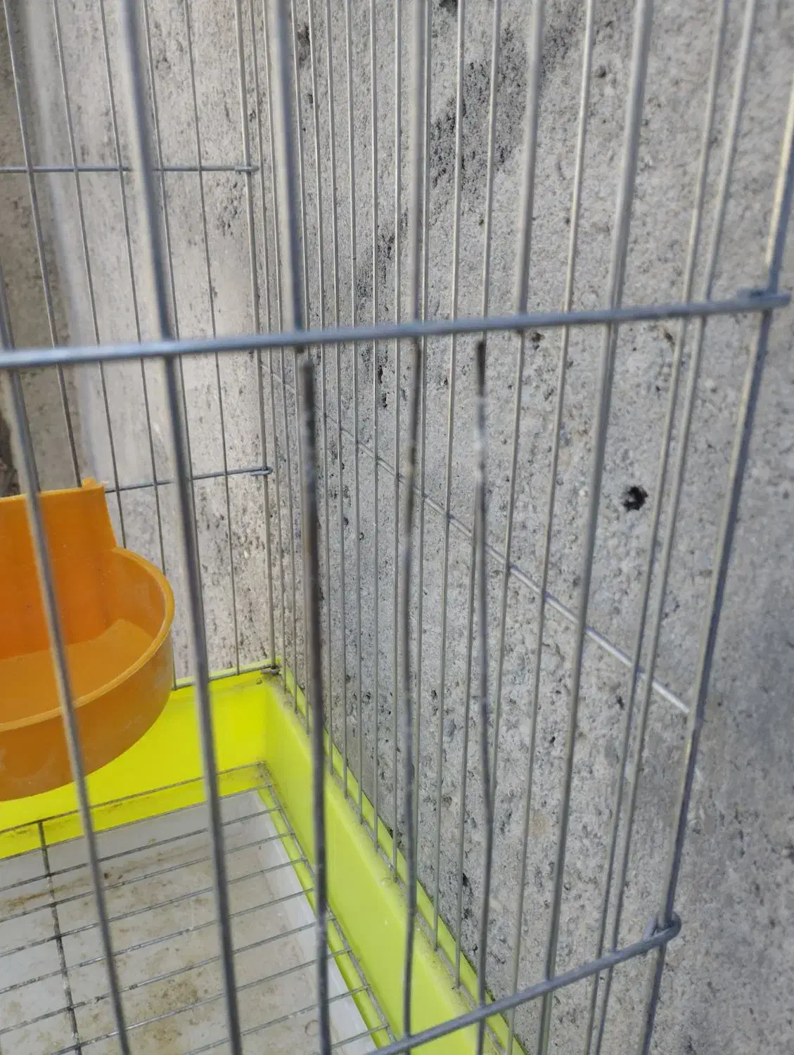 فروش قفس. با. لوازم. کامل|لوازم جانبی حیوانات|میناب, |دیوار