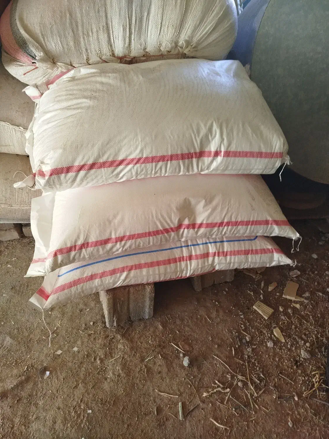 کود سر|گل و گیاه طبیعی|نورآباد, |دیوار