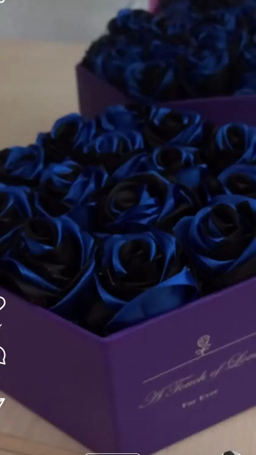 گل رز آبی|گل مصنوعی|نقده, |دیوار