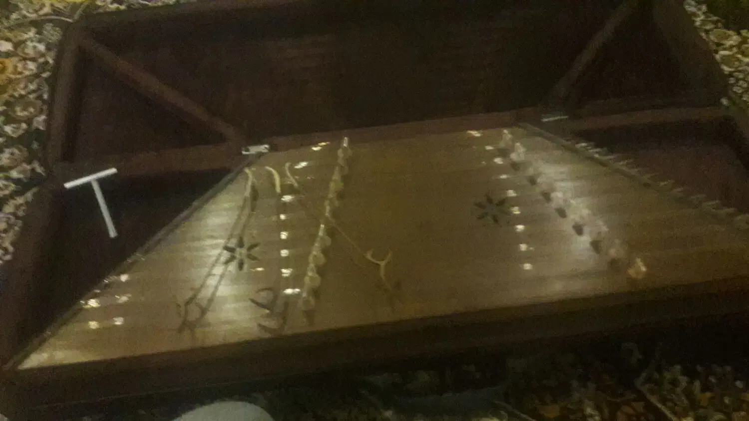 سنتور (علیرضا عطایی) با کیف و کتاب آموزش نوازندگی|سازهای سنتی|نمین, |دیوار