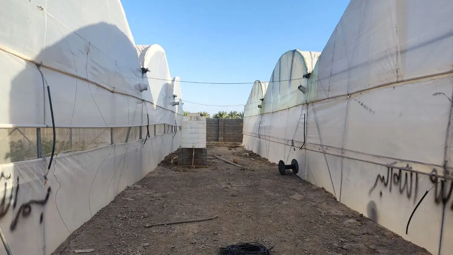 گلخانه|فروش دفتر صنعتی، کشاورزی، تجاری|سیب و سوران, |دیوار