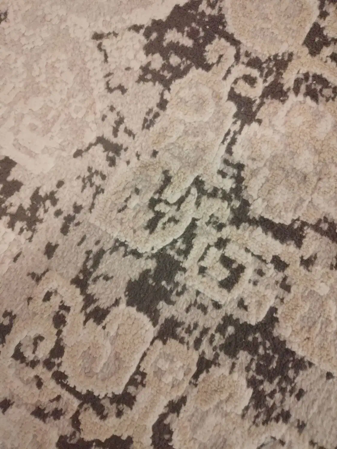 یک موکت پیدا شده|موکت|باسمنج, |دیوار