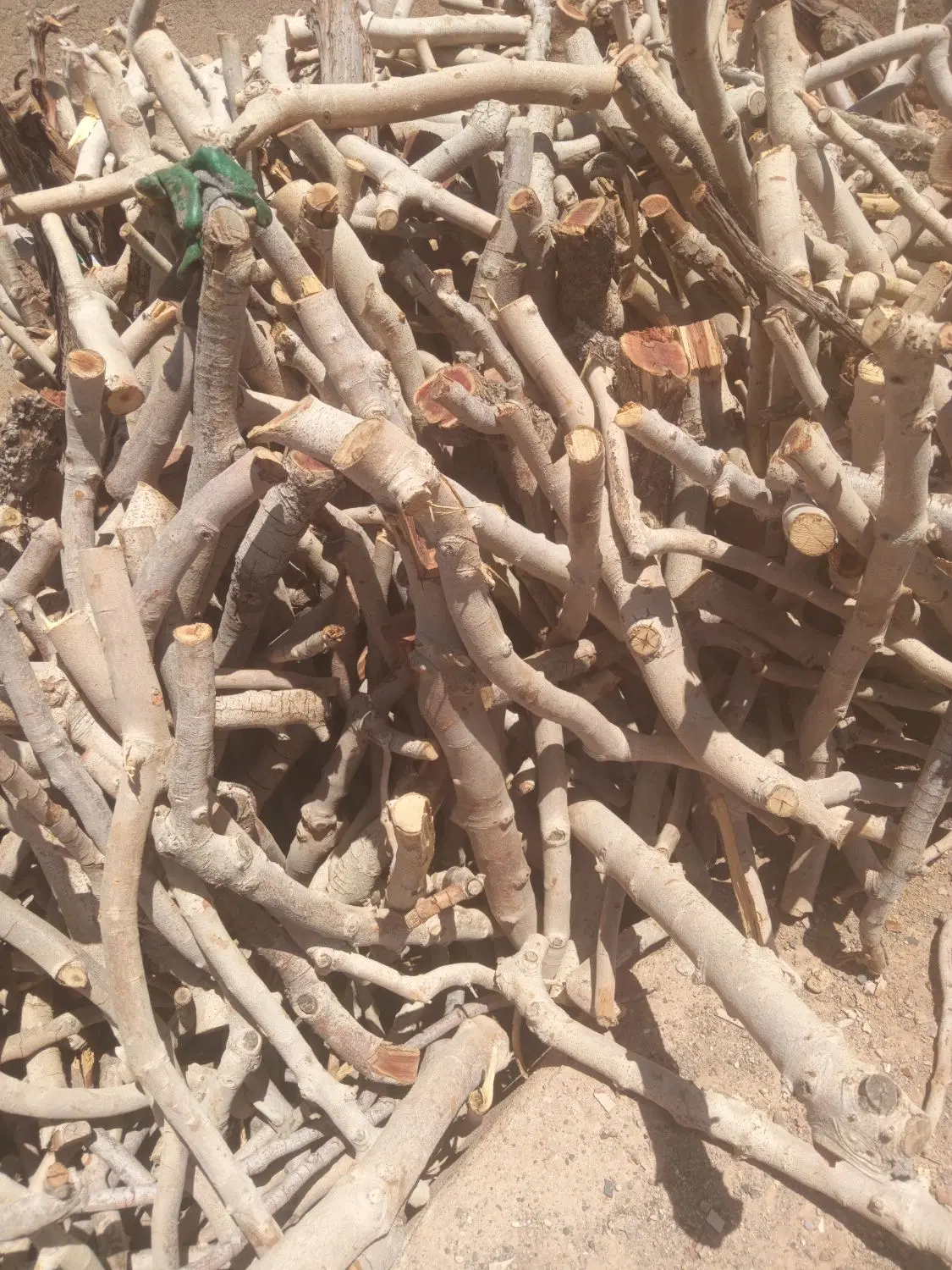 چوب|خدمات باغبانی و درختکاری|سیرجان, |دیوار