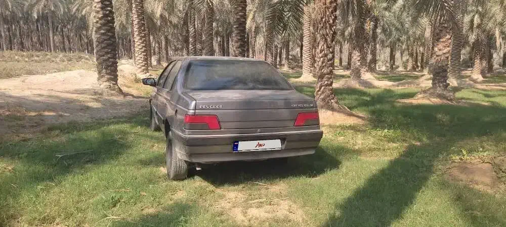 پژو دوگانه شرکت.  94|خودرو سواری و وانت|برازجان, |دیوار