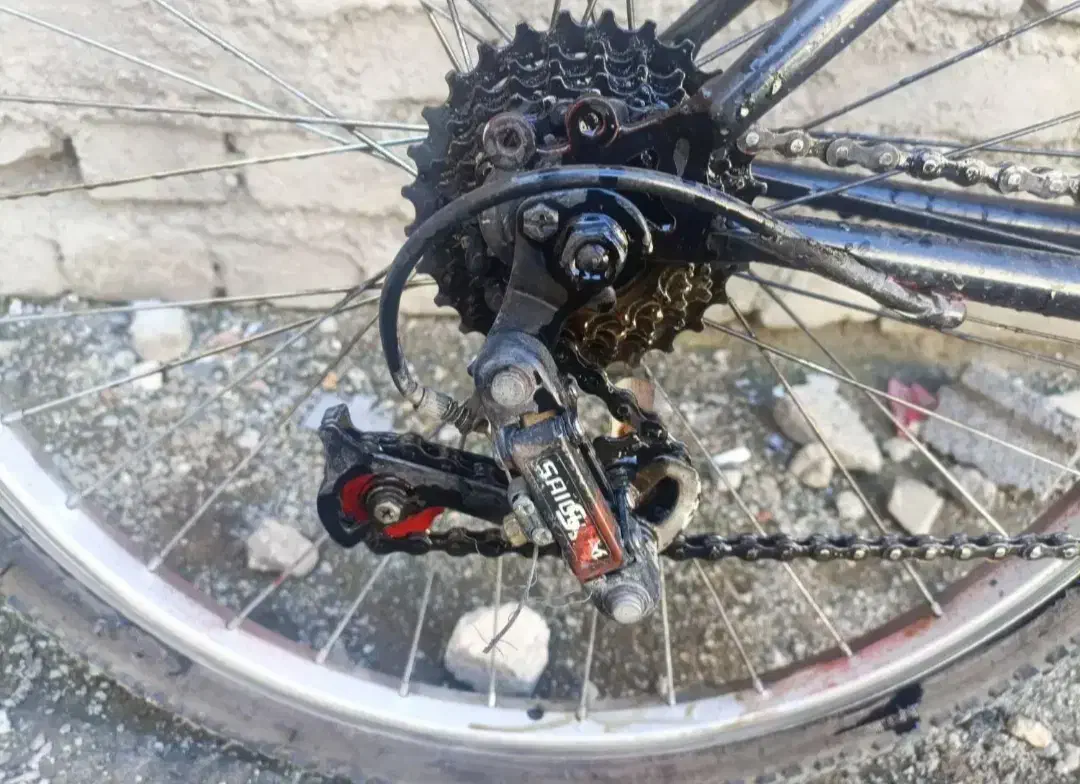 دوچرخه ۲۴ تنه کوتاه|دوچرخه، اسکیت، اسکوتر|سنندج, |دیوار