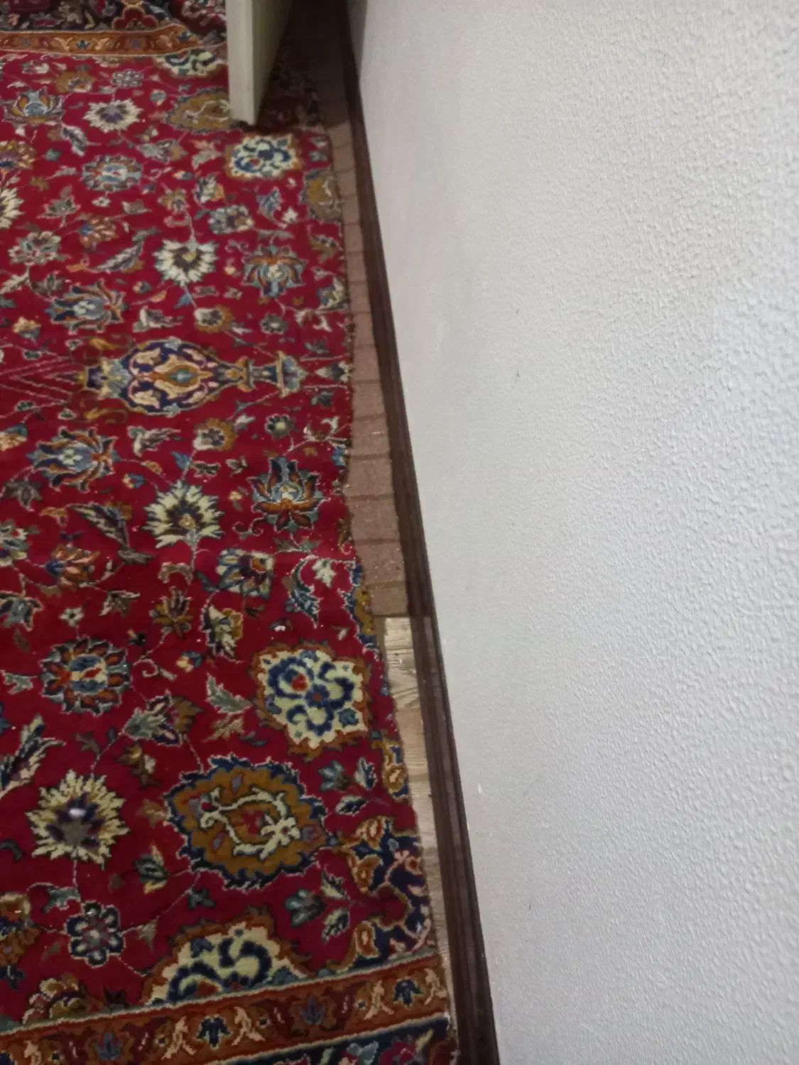 فرش|فرش|شاهین‌شهر, عطار|دیوار