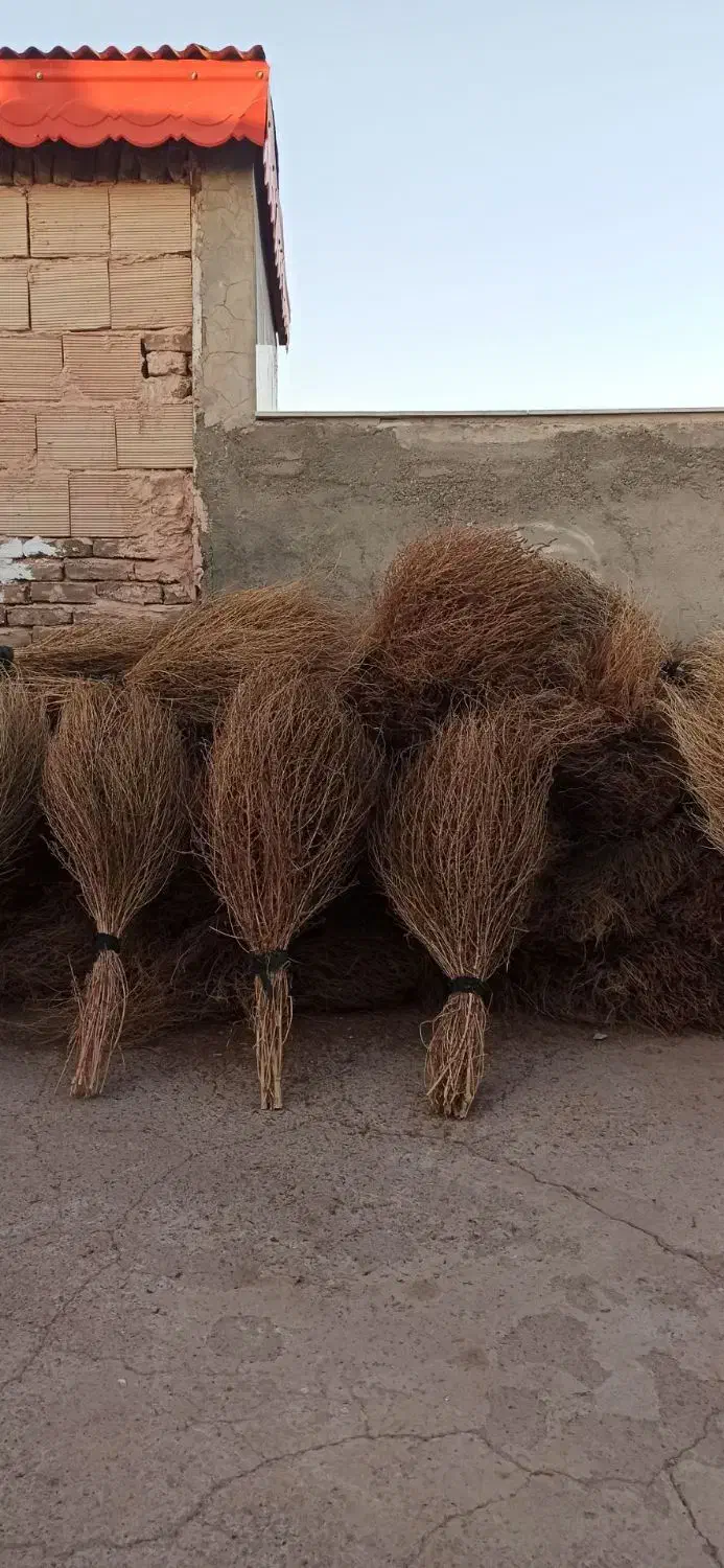 جارو|لوازم نظافت|سبزوار, باهنر|دیوار