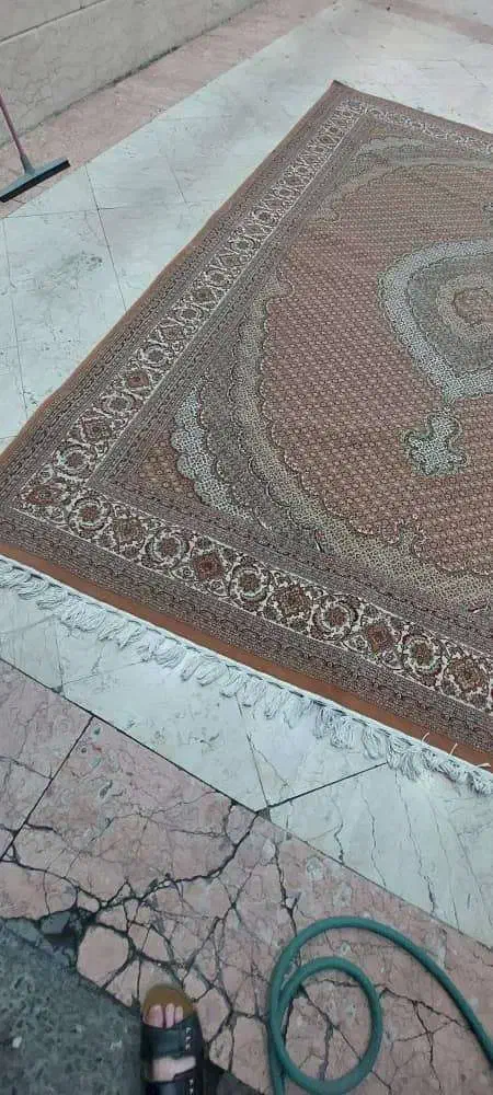 فرش نه متری خاطره کاشان|فرش|چالوس, |دیوار