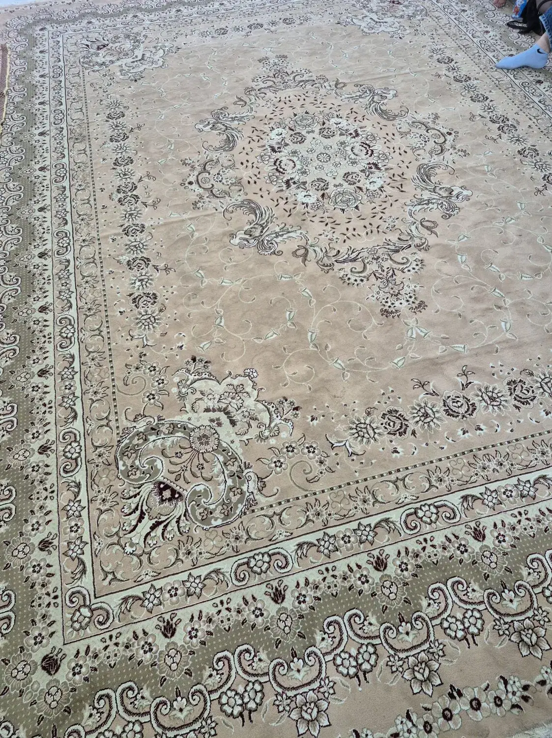 فرش ۱۲متری|فرش|رشت, جماران|دیوار