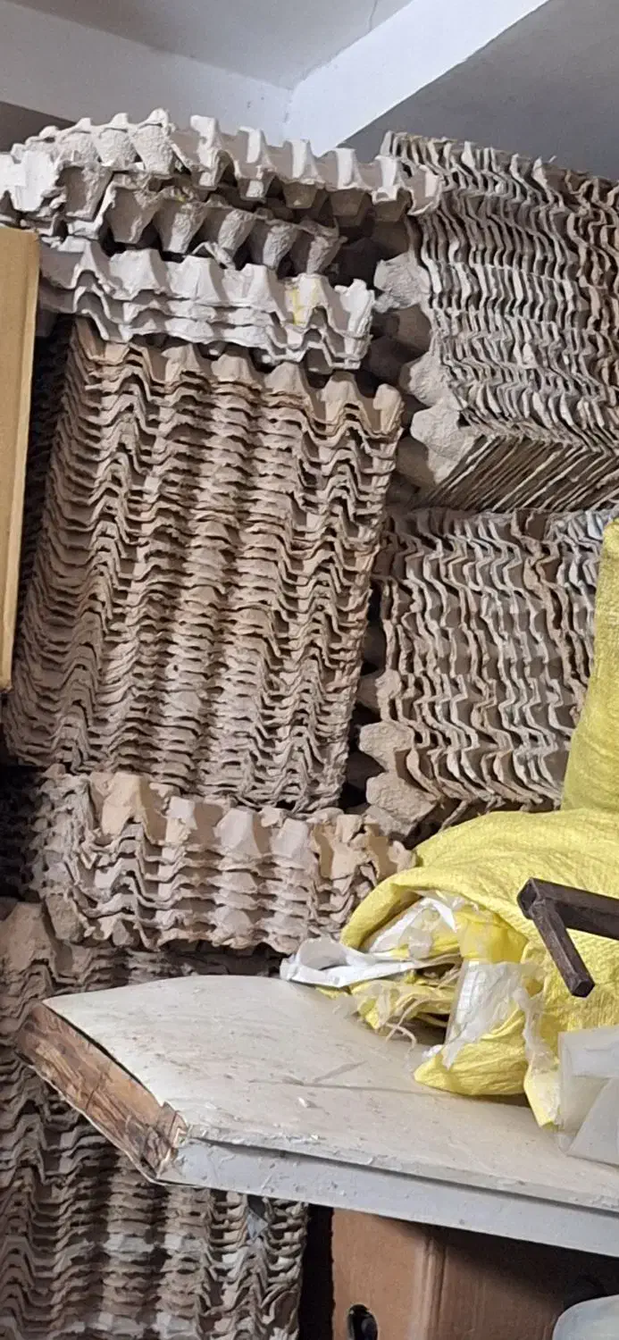 شانه خالی تخم مرغ|عمدهفروشی|بهارستان, |دیوار