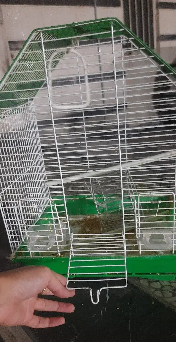 قفس|لوازم جانبی حیوانات|فردیس, فردیس|دیوار