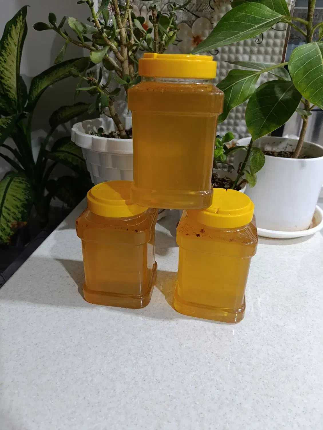 عسل|خوردنی و آشامیدنی|میبد, |دیوار