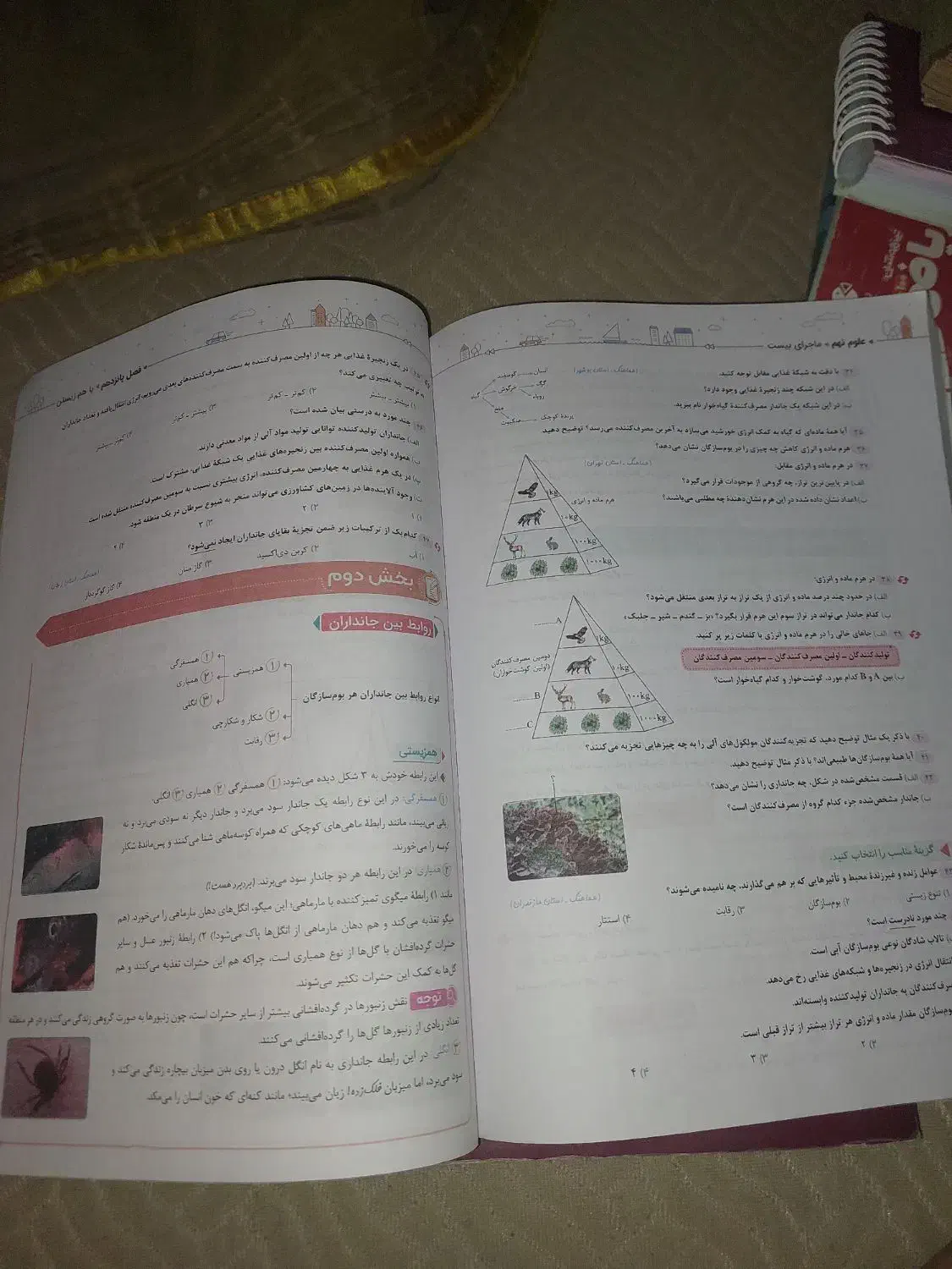 کتاب کمک درسی نهم تیزهوشان ۳۱ استان ریاضی علوم|کتاب و مجله آموزشی|اهواز, بهارستان|دیوار