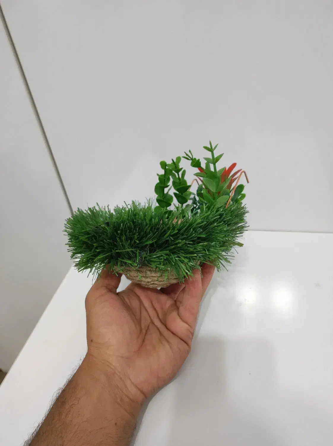 لانه سهره|لوازم جانبی حیوانات|مبارکه, |دیوار