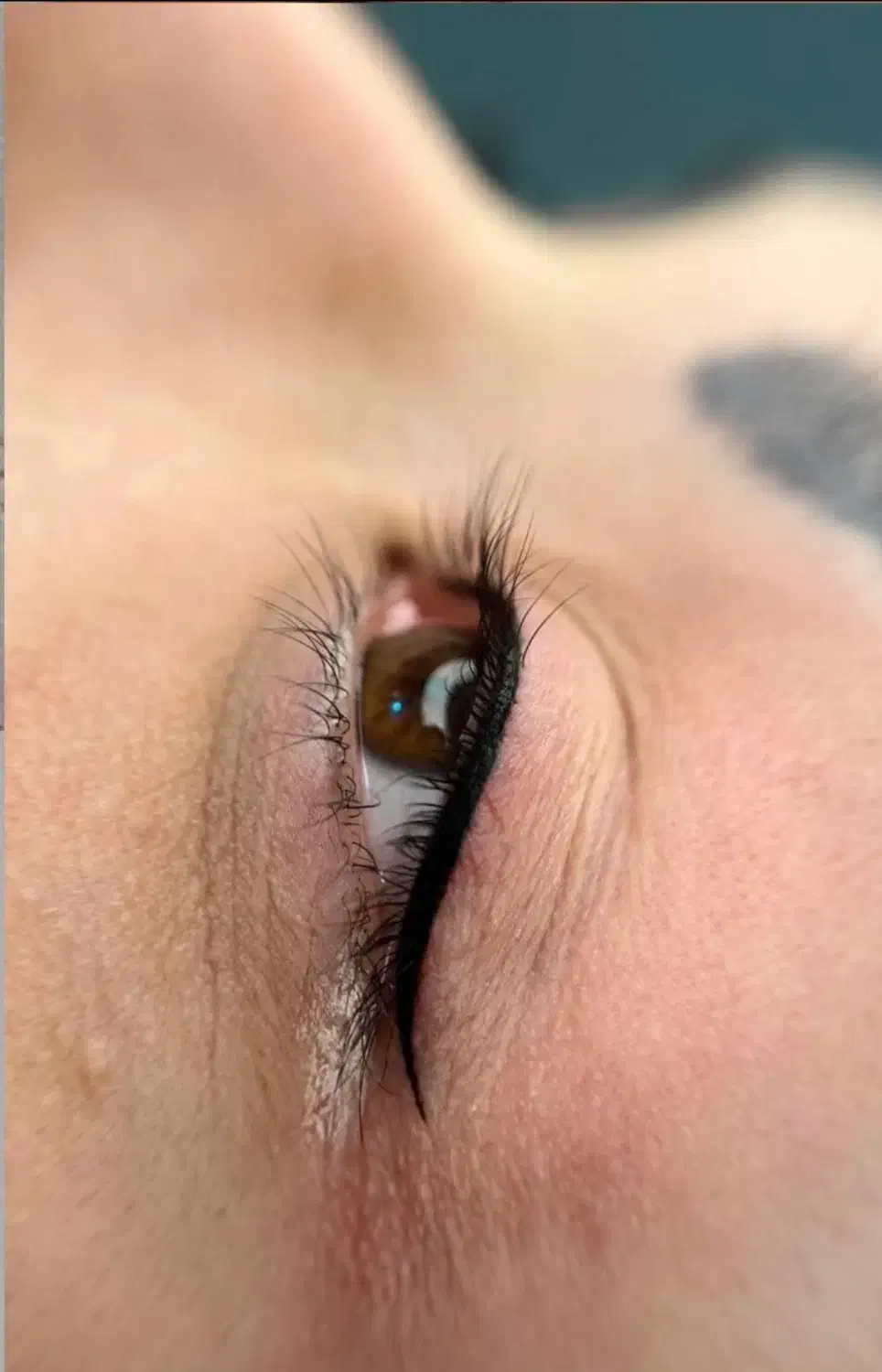 آرایش دایم میکرو وفبیروز شیدلب خط چشم ریموو|خدمات آرایشگری و زیبایی|گرگان, |دیوار