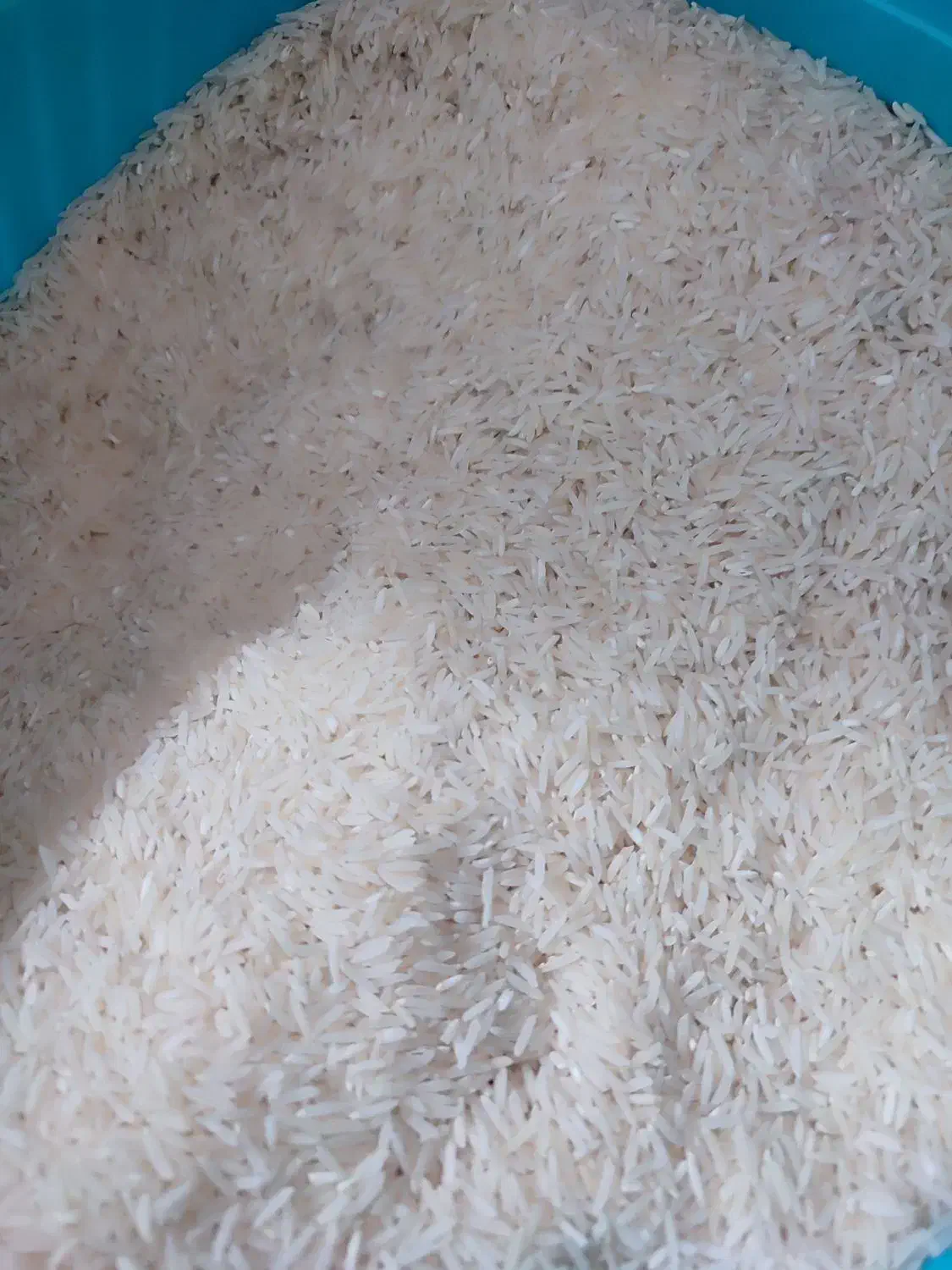 برنج طارم دم‌سیاه مینودشت برنج فجرسوزنی مینودشت|خوردنی و آشامیدنی|گرگان, |دیوار