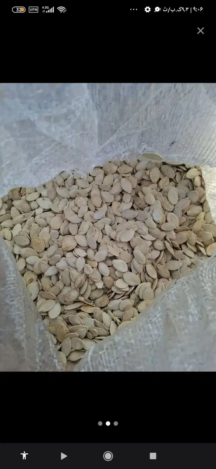 تخمه|خوردنی و آشامیدنی|رضویه, |دیوار