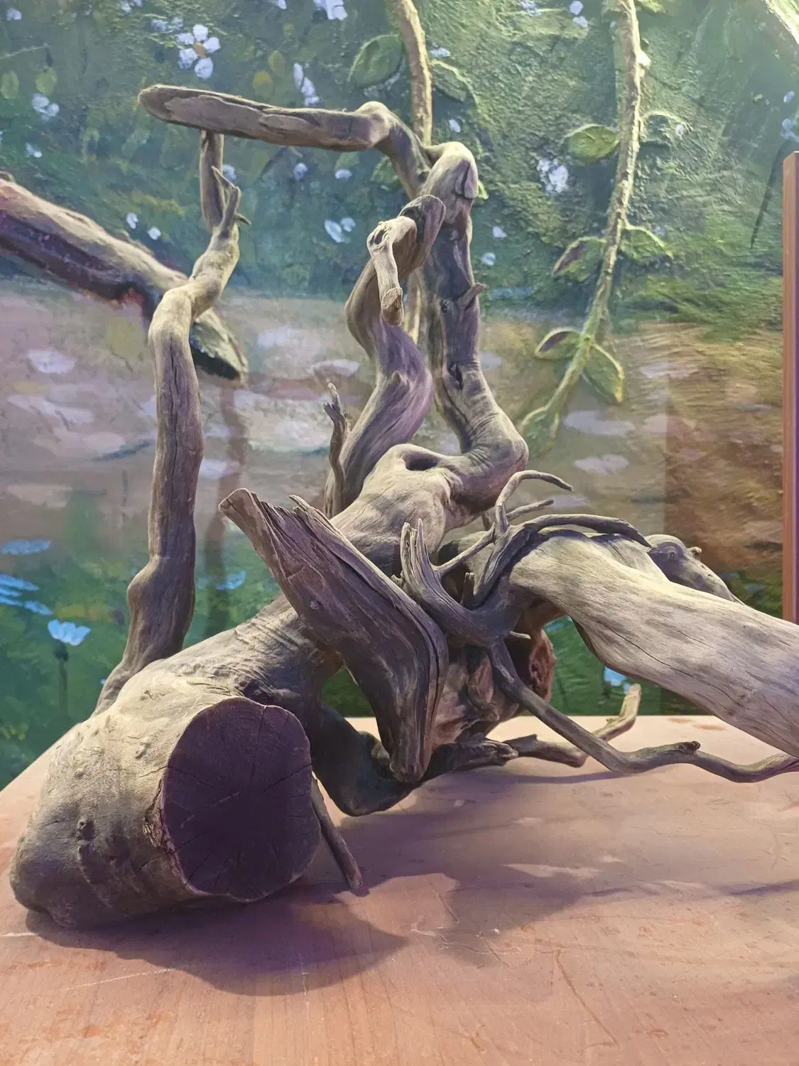 ابنوس بزرگ  دوتکه|لوازم جانبی حیوانات|صوفیان, |دیوار