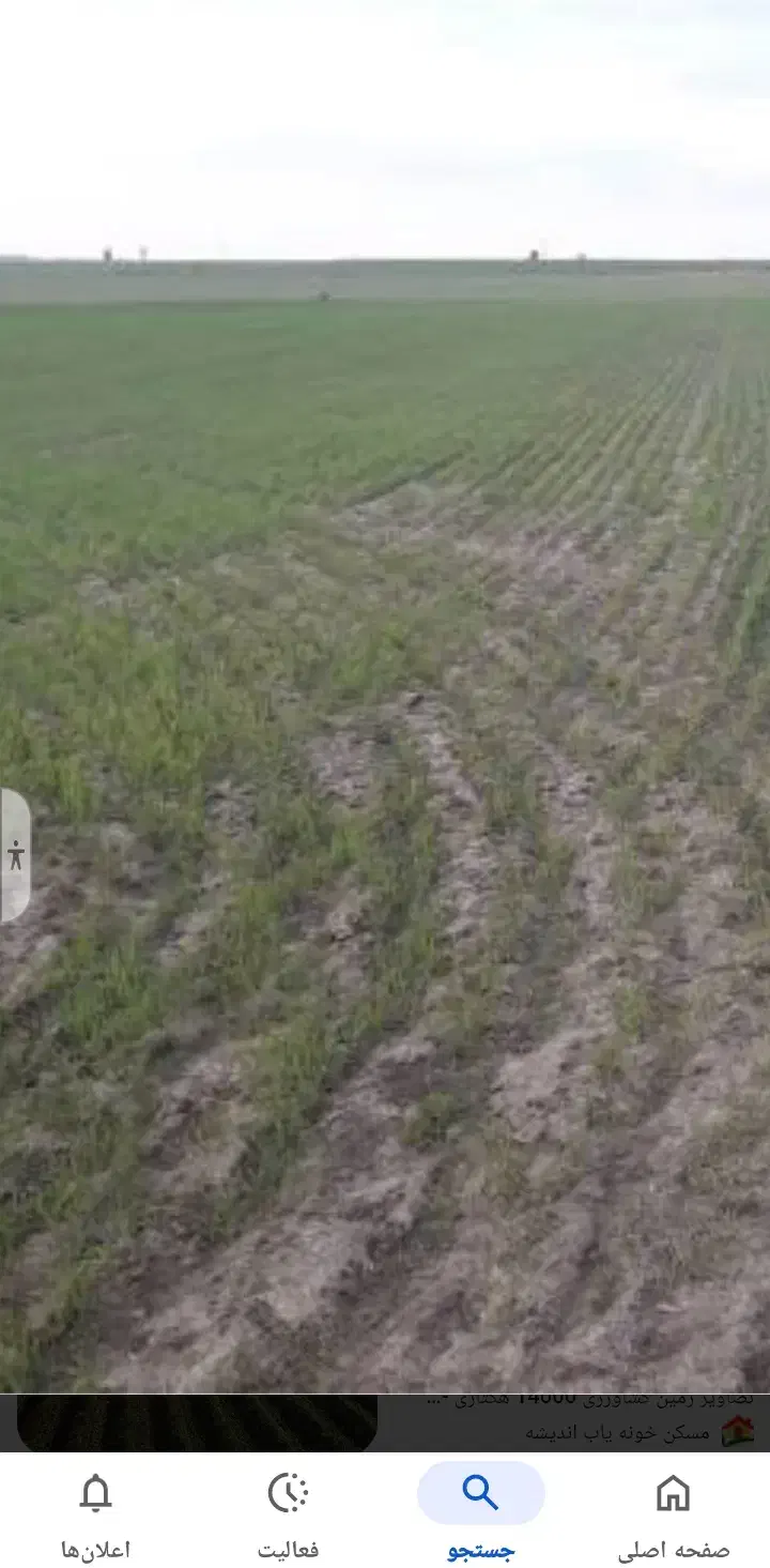زمین کشاورزی|فروش دفتر صنعتی، کشاورزی، تجاری|هشترود, |دیوار