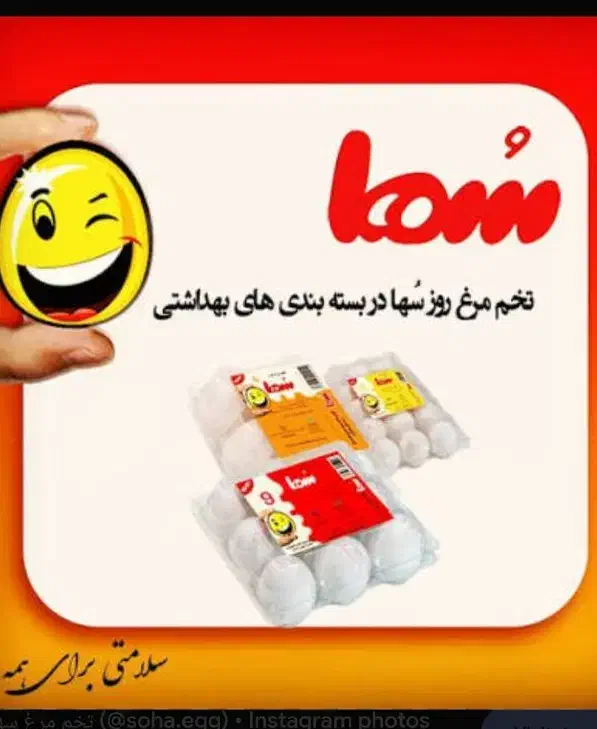 پخش فروش تخم مرغ سها|خوردنی و آشامیدنی|رشت, نظری|دیوار