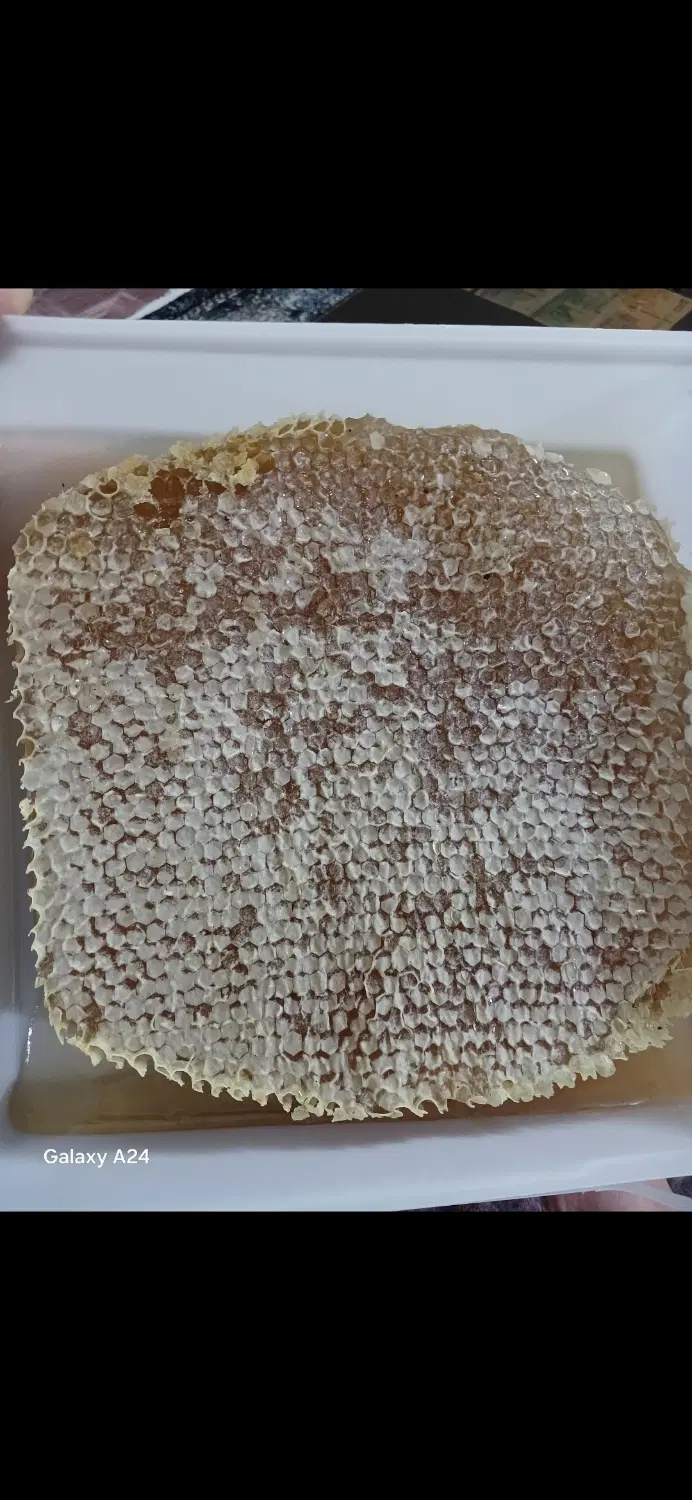 عسل ارگانیک کردستان ( سقز)|خوردنی و آشامیدنی|تهران, زمزم|دیوار