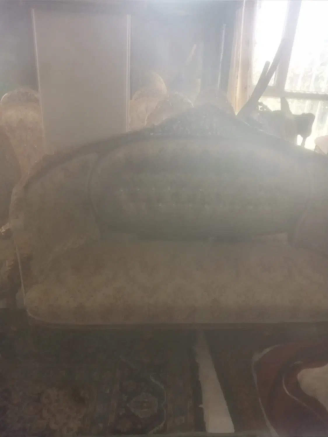 مبلمان کلاسیک|مبلمان خانگی و میز عسلی|آبعلی, |دیوار