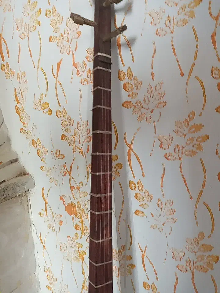 فروش سه تاردرحدنو|سازهای سنتی|بیستون, |دیوار