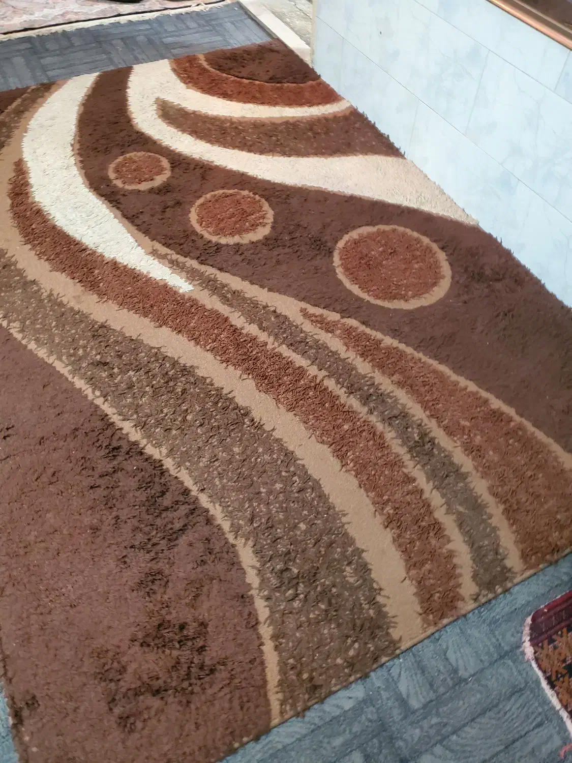 فرش ۶متری تمیز  فانتزی|فرش|شیراز, سرو|دیوار