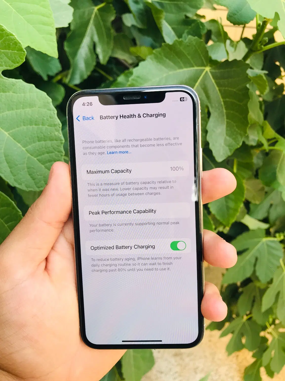 Iphone x 256|موبایل|کرمان, |دیوار
