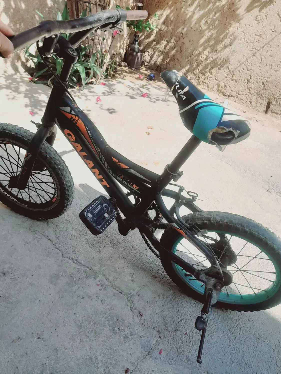 دوچرخه ۱۶|دوچرخه، اسکیت، اسکوتر|چغادک, |دیوار