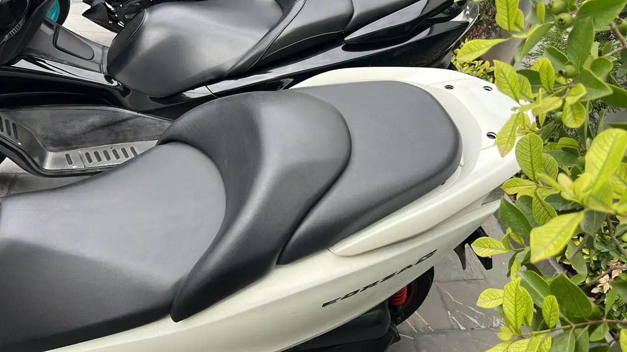 دو دستگاه موتور هوندا فورزا و هوندا پاکشتی گرینو|موتورسیکلت|چالوس, |دیوار